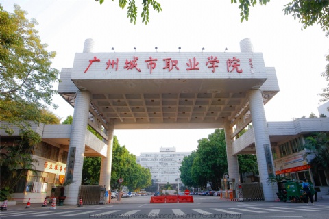 广州城市职业学院高升本 专升本课程