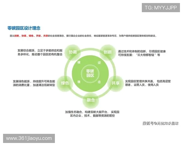 武汉羽毛球队的节奏解析与未来发展展望