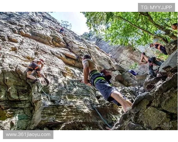 深圳极限运动队在攀岩联赛中以56分稳居榜首展现强大实力