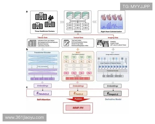 南京飞盘队快攻战术解析与实战应用的深度分析